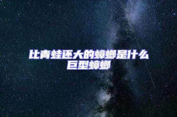 比青蛙還大的蟑螂是什么巨型蟑螂