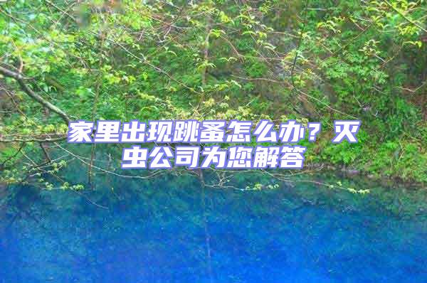家里出現跳蚤怎么辦？滅蟲公司為您解答