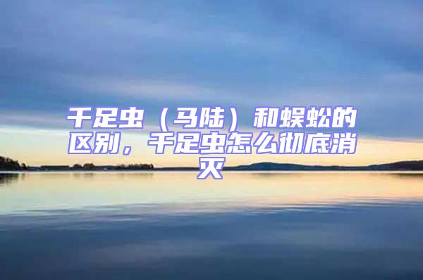 千足蟲（馬陸）和蜈蚣的區(qū)別，千足蟲怎么徹底消滅
