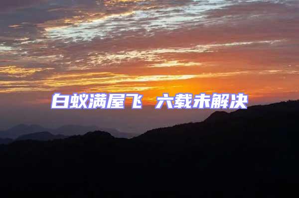 白蟻滿屋飛 六載未解決