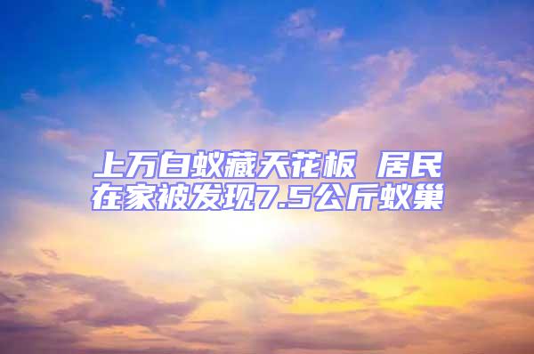 上萬白蟻藏天花板 居民在家被發現7.5公斤蟻巢
