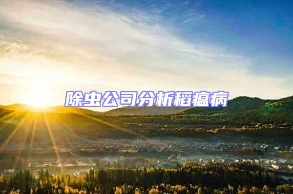 除蟲公司分析稻瘟病