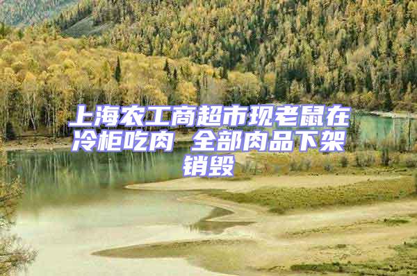 上海農(nóng)工商超市現(xiàn)老鼠在冷柜吃肉 全部肉品下架銷毀