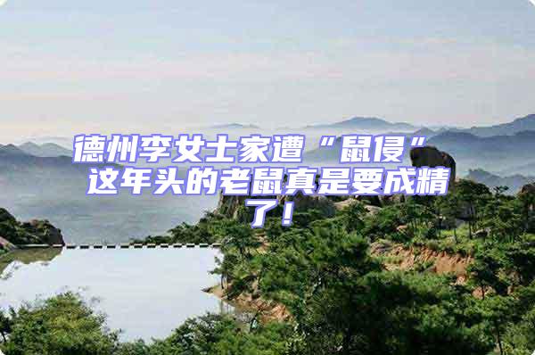德州李女士家遭“鼠侵” 這年頭的老鼠真是要成精了！
