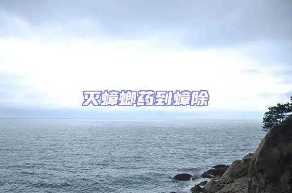 滅蟑螂藥到蟑除