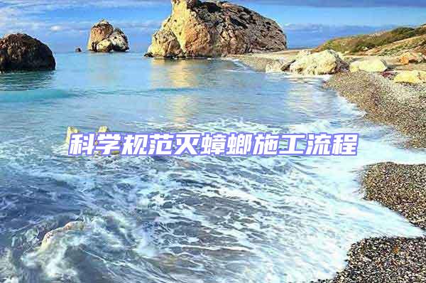 科學規范滅蟑螂施工流程