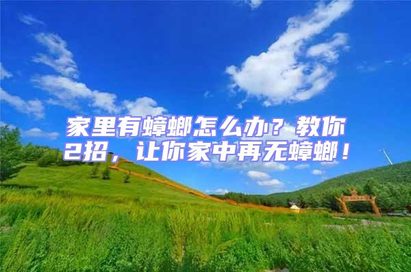 家里有蟑螂怎么辦？教你2招，讓你家中再無蟑螂！