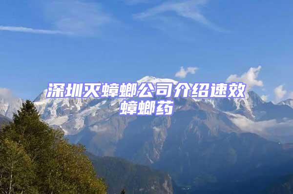 深圳滅蟑螂公司介紹速效蟑螂藥