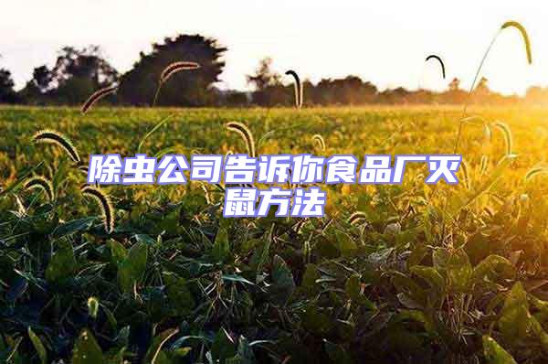 除蟲公司告訴你食品廠滅鼠方法