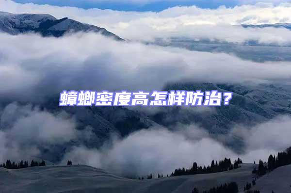 蟑螂密度高怎樣防治？