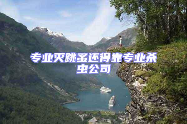 專業(yè)滅跳蚤還得靠專業(yè)殺蟲(chóng)公司
