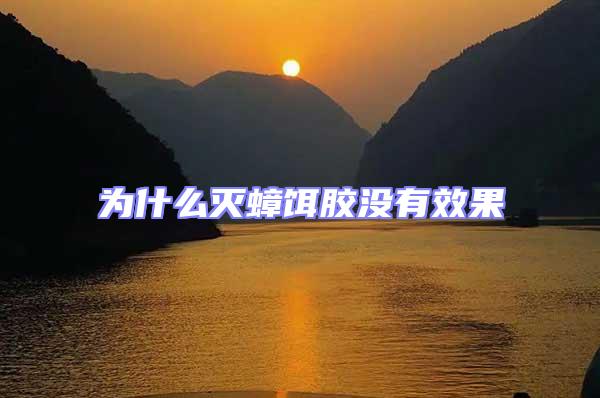 為什么滅蟑餌膠沒有效果