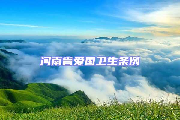 河南省愛國衛生條例