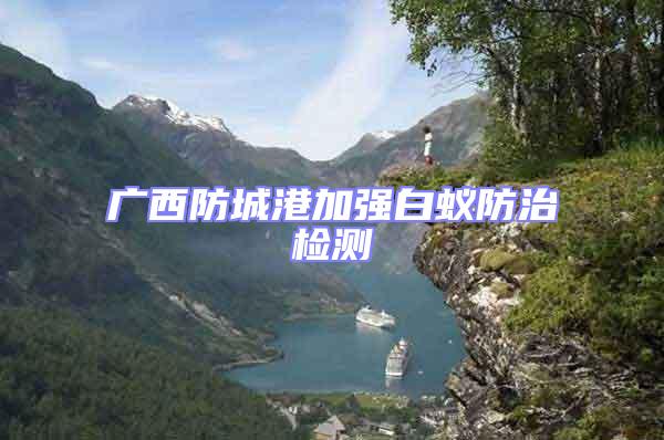 廣西防城港加強白蟻防治檢測