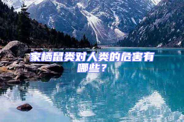 家棲鼠類對人類的危害有哪些？