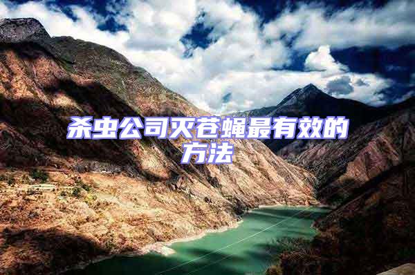 殺蟲公司滅蒼蠅最有效的方法