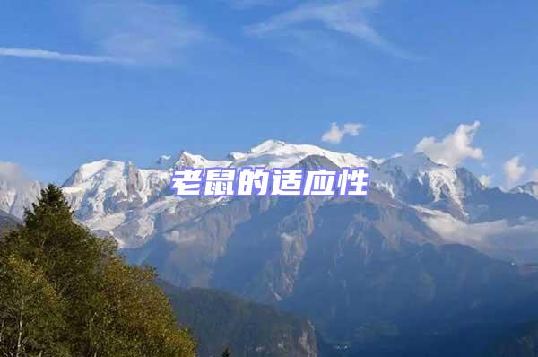 老鼠的適應性
