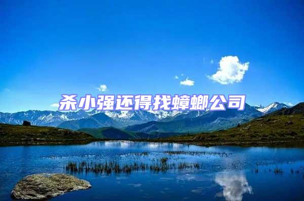 殺小強(qiáng)還得找蟑螂公司