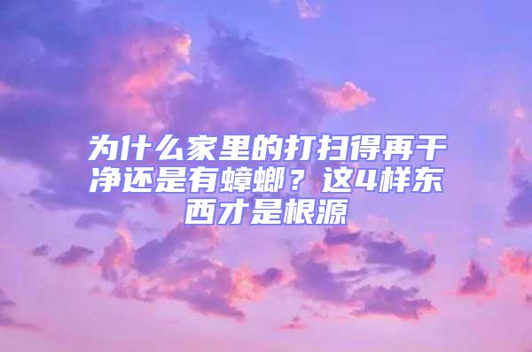 為什么家里的打掃得再干凈還是有蟑螂？這4樣?xùn)|西才是根源