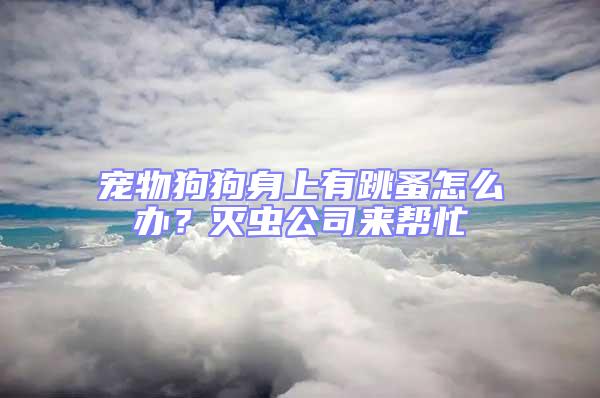 寵物狗狗身上有跳蚤怎么辦？滅蟲公司來(lái)幫忙