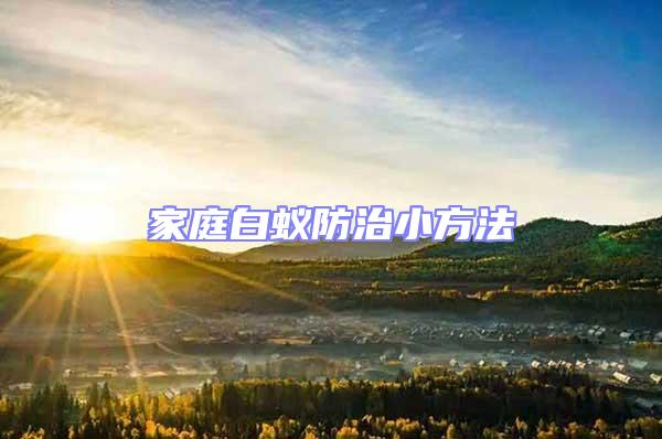 家庭白蟻防治小方法