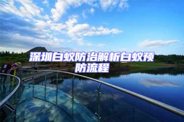 深圳白蟻防治解析白蟻預(yù)防流程