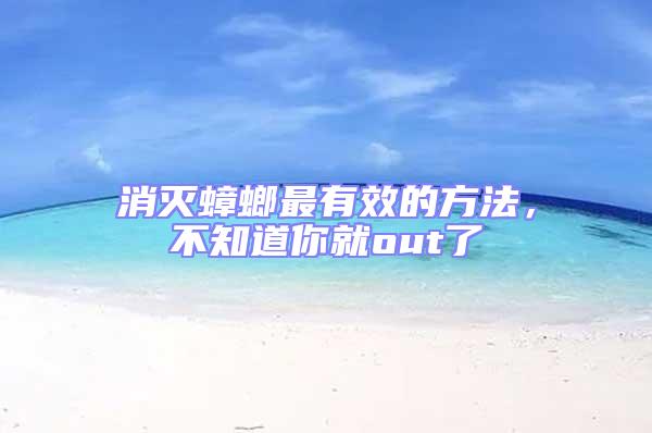 消滅蟑螂最有效的方法，不知道你就out了