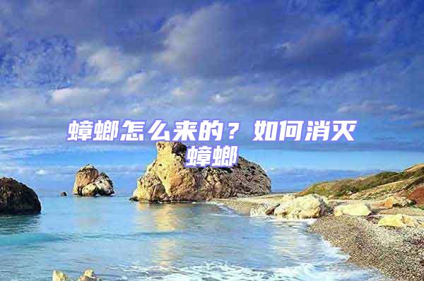 蟑螂怎么來(lái)的？如何消滅蟑螂
