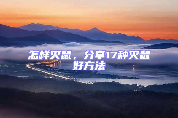 怎樣滅鼠，分享17種滅鼠好方法