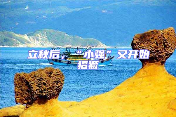 立秋后，“小強”又開始猖獗