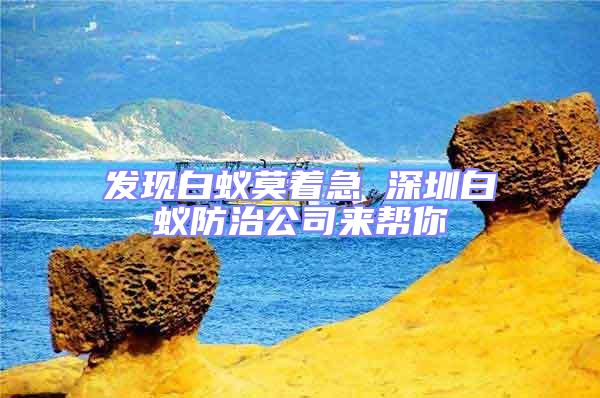 發現白蟻莫著急 深圳白蟻防治公司來幫你