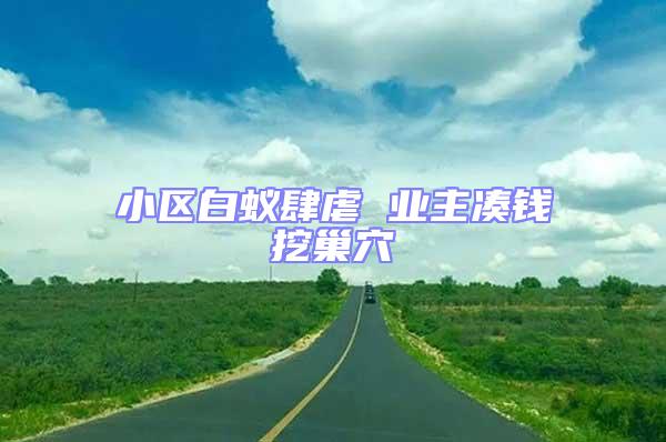 小區(qū)白蟻肆虐 業(yè)主湊錢挖巢穴
