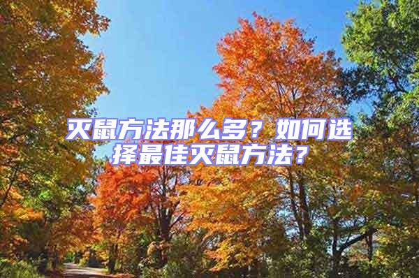 滅鼠方法那么多？如何選擇最佳滅鼠方法？