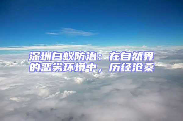 深圳白蟻防治：在自然界的惡劣環境中，歷經滄桑
