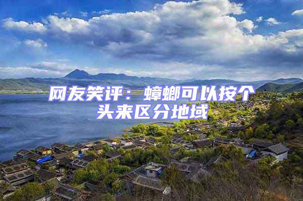 網(wǎng)友笑評：蟑螂可以按個頭來區(qū)分地域