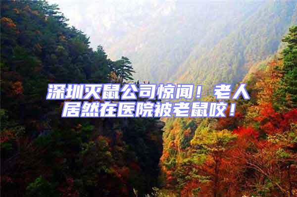 深圳滅鼠公司驚聞！老人居然在醫(yī)院被老鼠咬！
