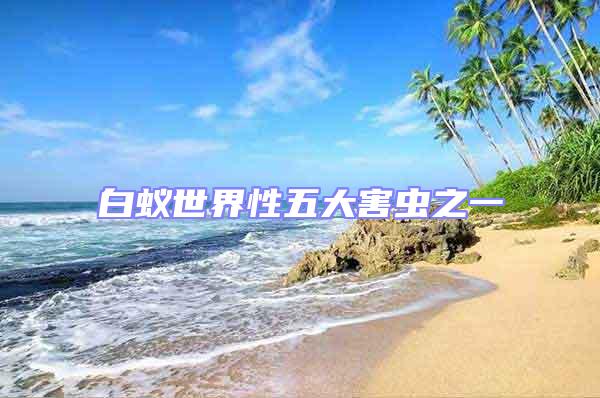 白蟻世界性五大害蟲(chóng)之一