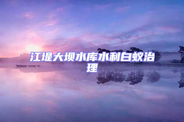 江堤大壩水庫水利白蟻治理
