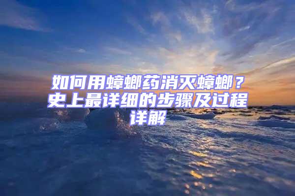 如何用蟑螂藥消滅蟑螂？史上最詳細的步驟及過程詳解