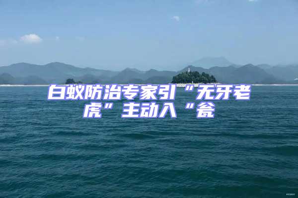 白蟻防治專家引“無(wú)牙老虎”主動(dòng)入“甕