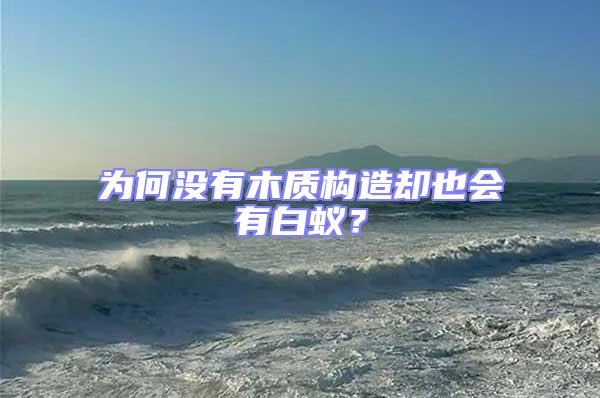 為何沒有木質構造卻也會有白蟻？