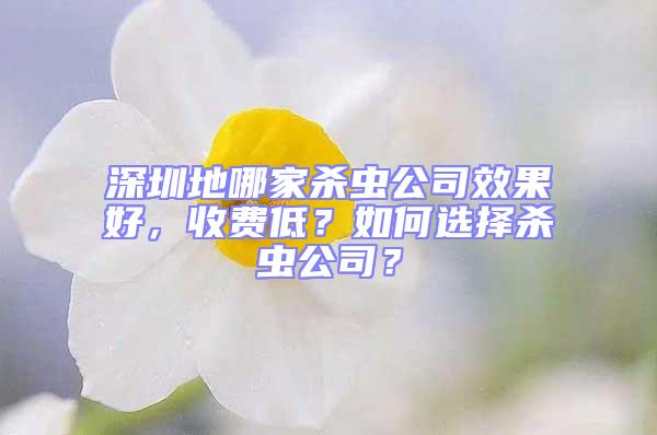 深圳地哪家殺蟲公司效果好，收費低？如何選擇殺蟲公司？