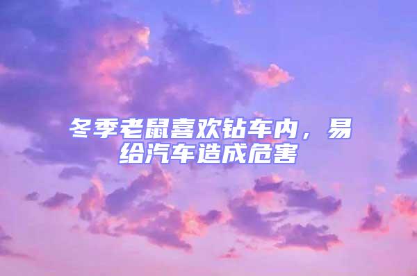 冬季老鼠喜歡鉆車內，易給汽車造成危害