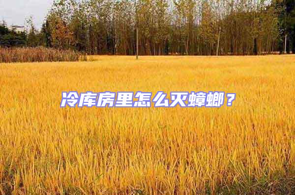冷庫房里怎么滅蟑螂？