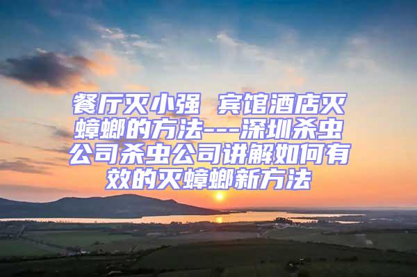 餐廳滅小強 賓館酒店滅蟑螂的方法---深圳殺蟲公司殺蟲公司講解如何有效的滅蟑螂新方法