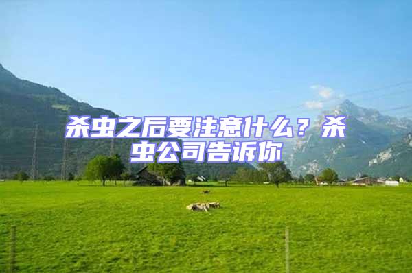殺蟲之后要注意什么？殺蟲公司告訴你