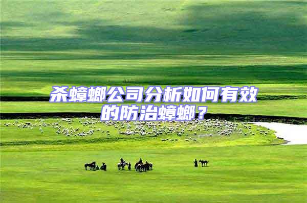 殺蟑螂公司分析如何有效的防治蟑螂？