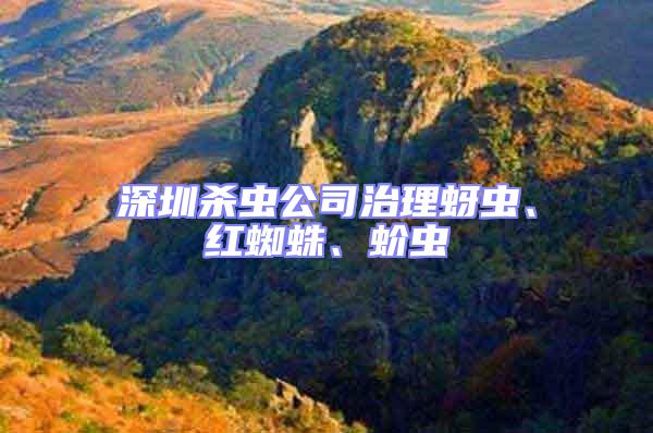 深圳殺蟲公司治理蚜蟲、紅蜘蛛、蚧蟲