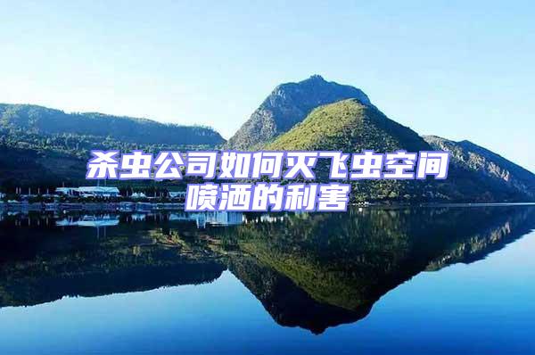 殺蟲公司如何滅飛蟲空間噴灑的利害
