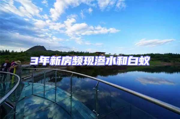 3年新房頻現(xiàn)滲水和白蟻